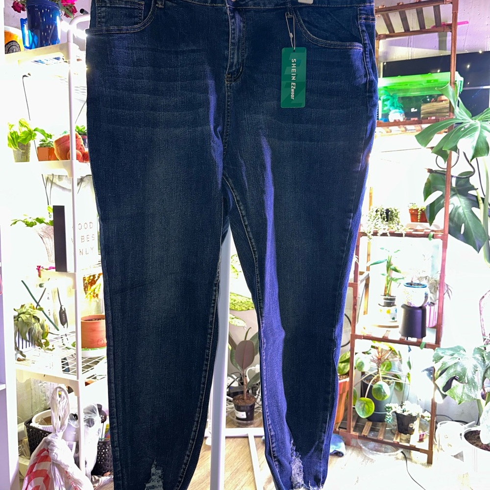 Stylish Blue Jeans for Women